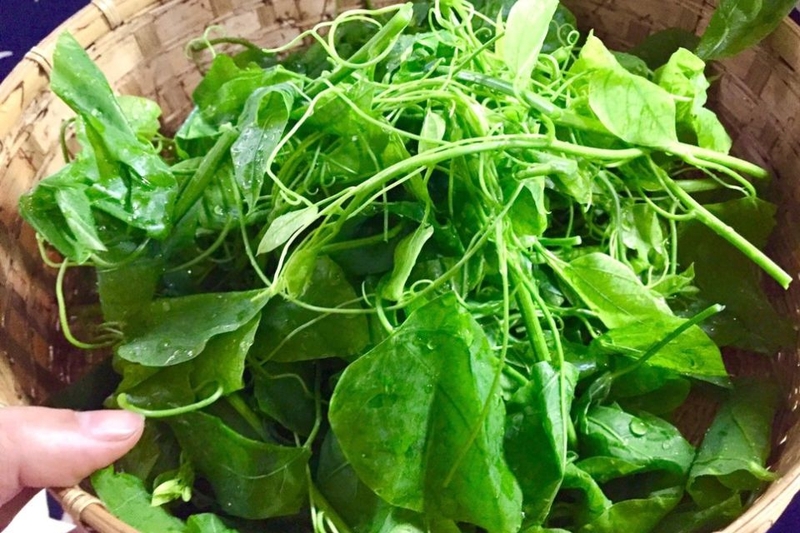 Rau bò khai thường có vào mùa nào?