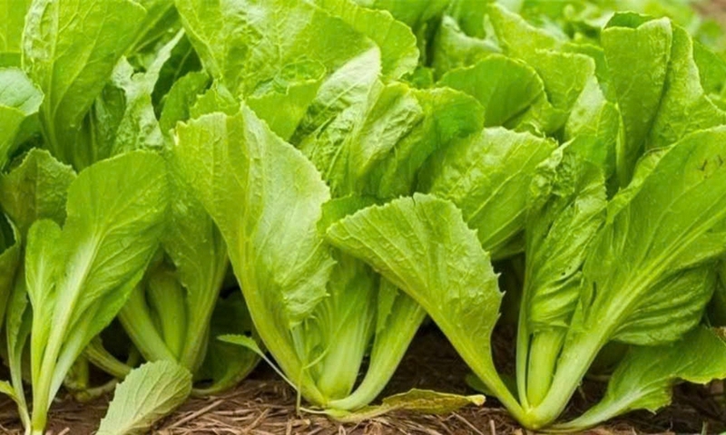 rau củ quả luộc thập cẩm ảnh 4