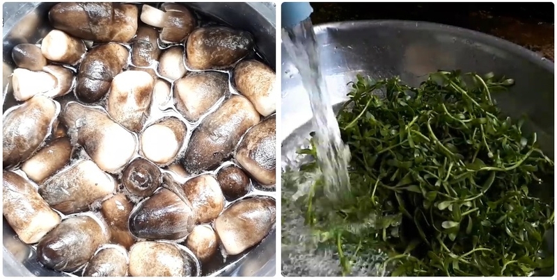 rau đắng xào nấm rơm 4