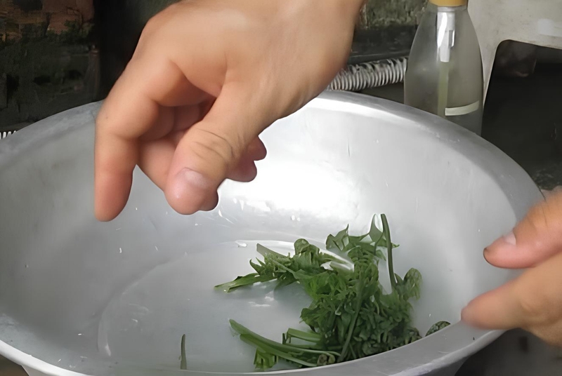 rau dớn xào thịt bò 6