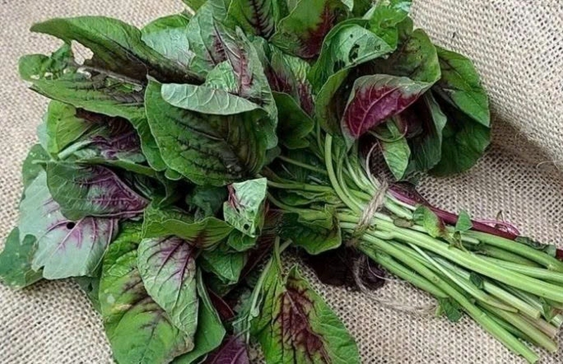 Rau lang kỵ với rau gì ảnh 3