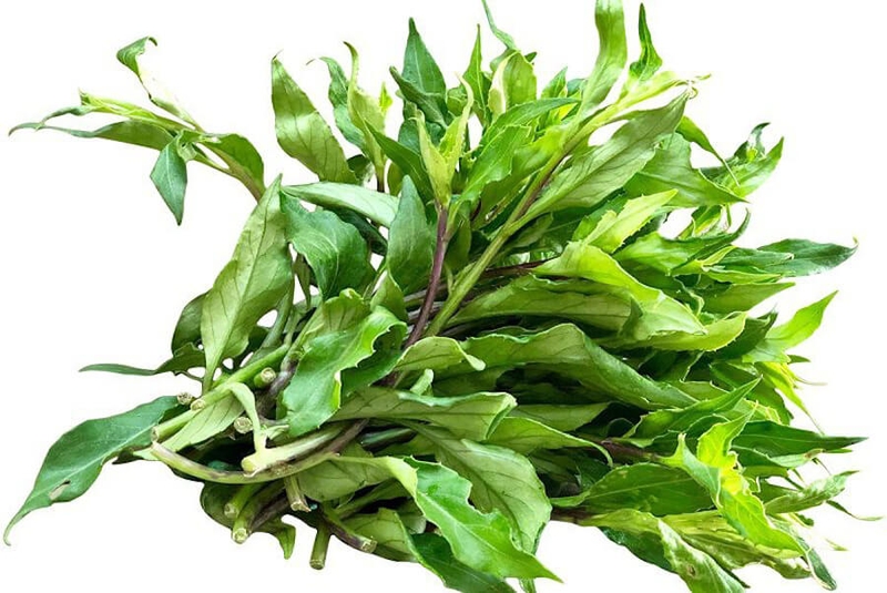 Rau lủi rừng là loại rau gì?