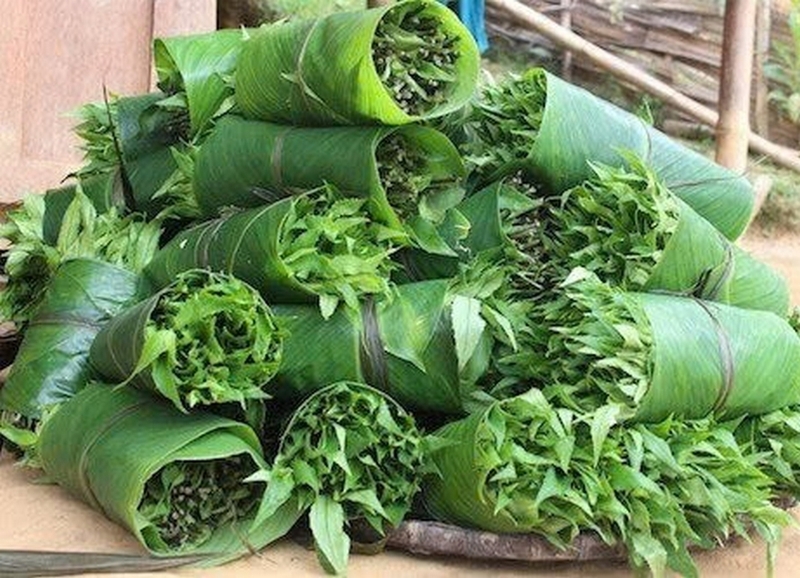 Rau rừng Gia Lai ảnh 1