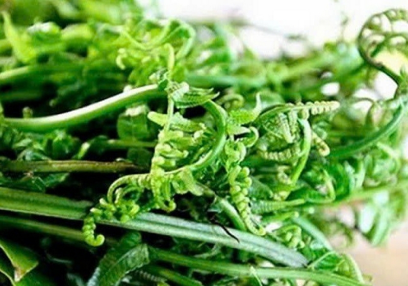 Rau rừng Gia Lai ảnh 2