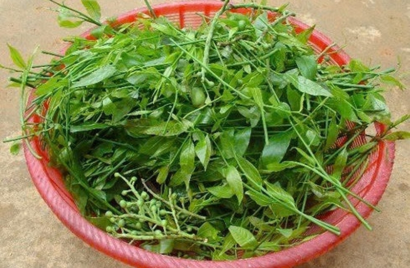 Rau sắng ảnh 1