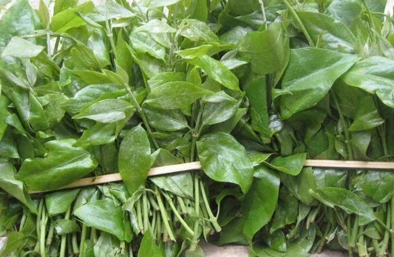 Rau sắng ảnh 7