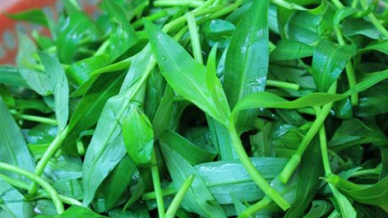 Rau trai là rau gì? Công dụng của rau trai và các cách chế biến