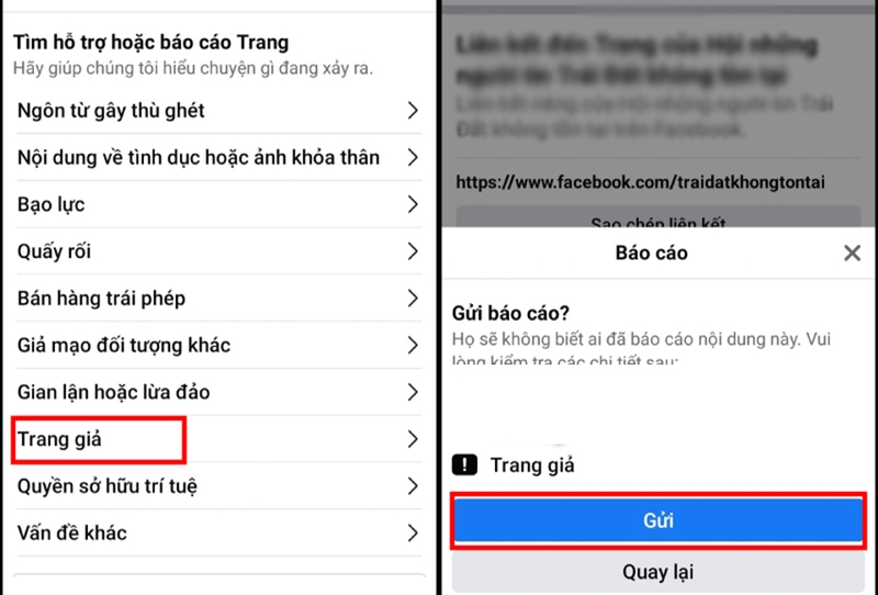 Cách báo cáo facebook mất vĩnh viễn (ảnh 9)
