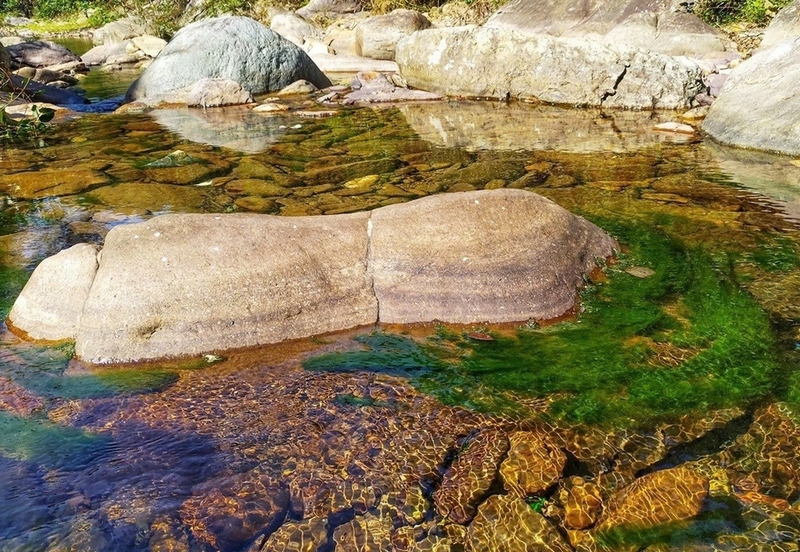 Rêu đá ảnh 5
