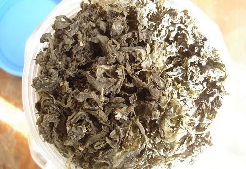 Rêu đá ảnh 9
