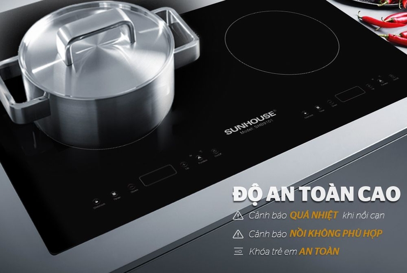 review bếp từ đôi ảnh 6