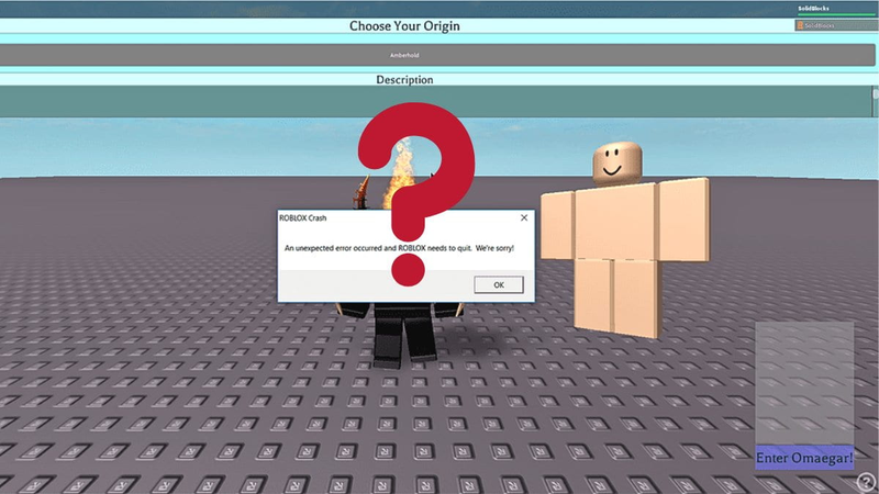 Roblox không vào được game 3