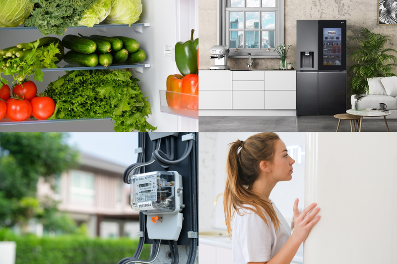 ron tủ lạnh lg (2)