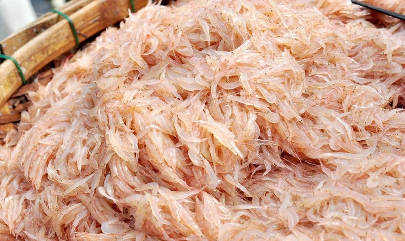 con-ruoc-bien-la-con-gi