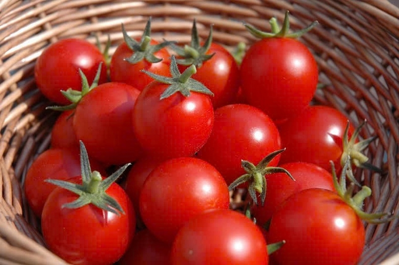 salad gà dầu giấm ảnh 3