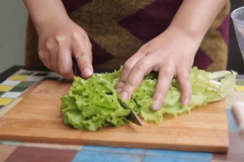 Xà lách cắt khúc