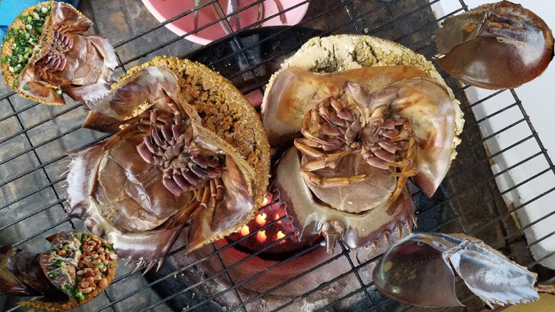 Bước 3: Nướng sam