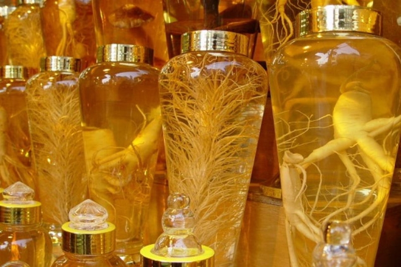 Sâm ngâm rượu có tác dụng gì?