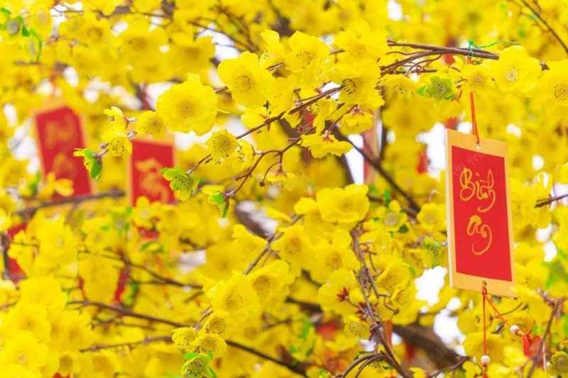 Sắm Tết cần những gì 128