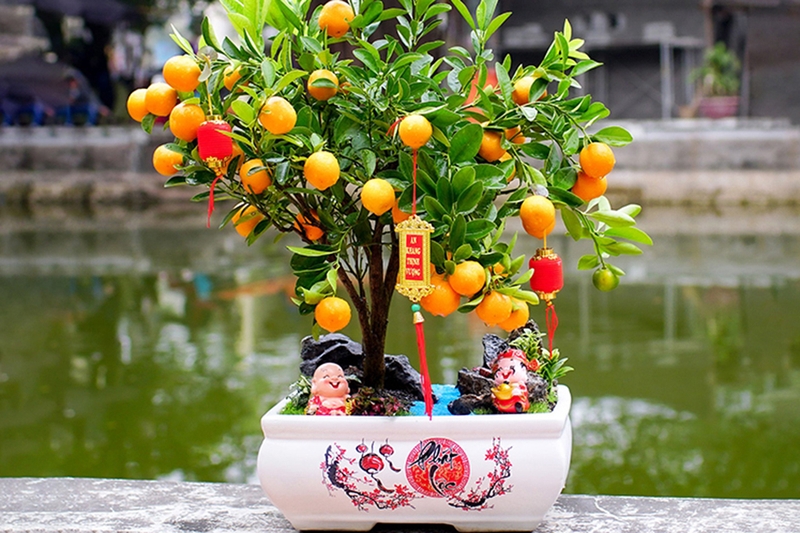 Sắm Tết cần những gì 5