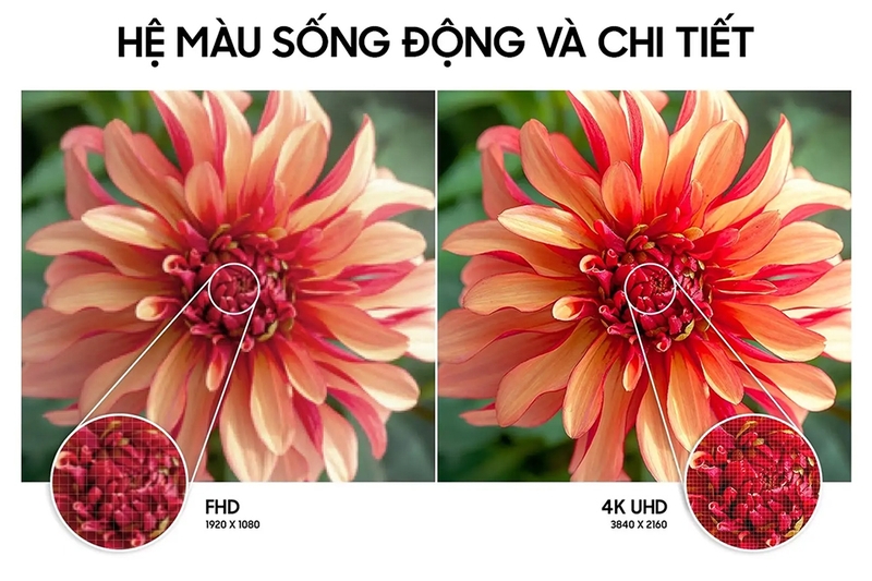 Đánh giá tivi 43AU7002 - 05