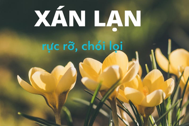 Sáng lạng hay xán lạn 5