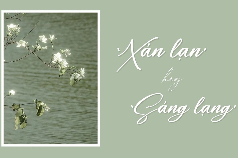 Sáng lạng hay xán lạn 10