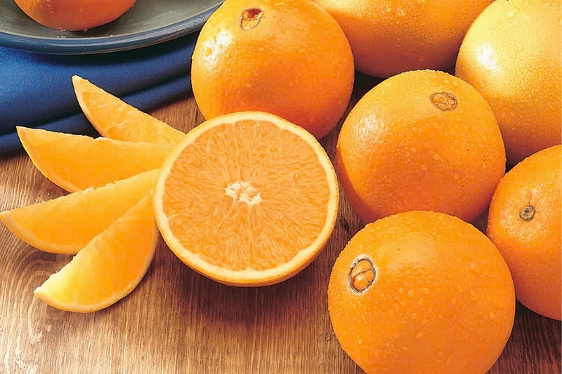 Sangria ảnh 8