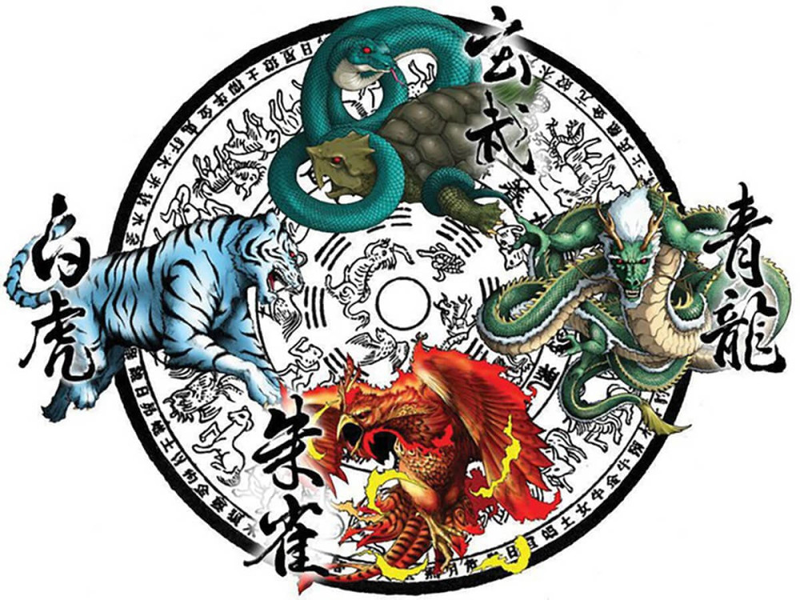 sao-thanh-long-la-gi-3.png