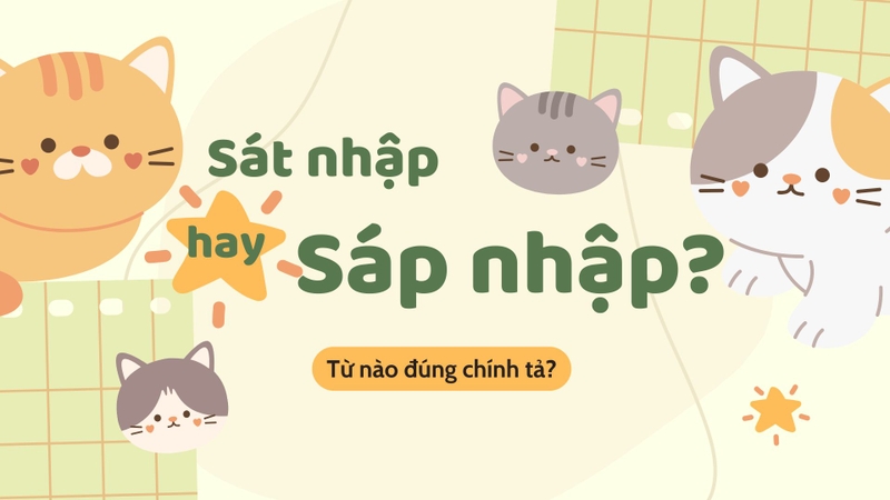 Sáp nhập hay sát nhập (ảnh 1)