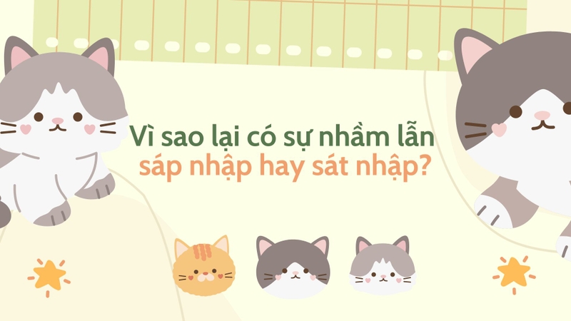 Sáp nhập hay sát nhập (ảnh 2)