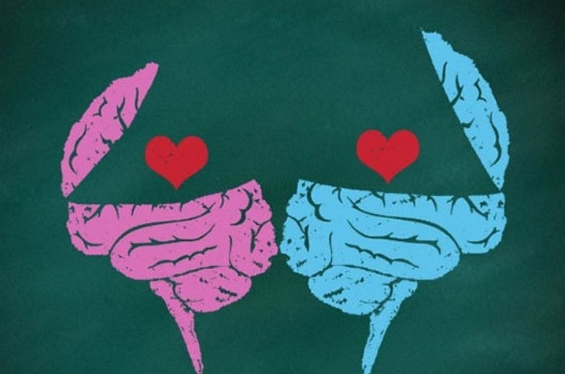 Sapiosexual là gì ảnh 2
