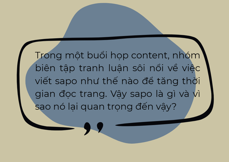 sapo là gì 6.png