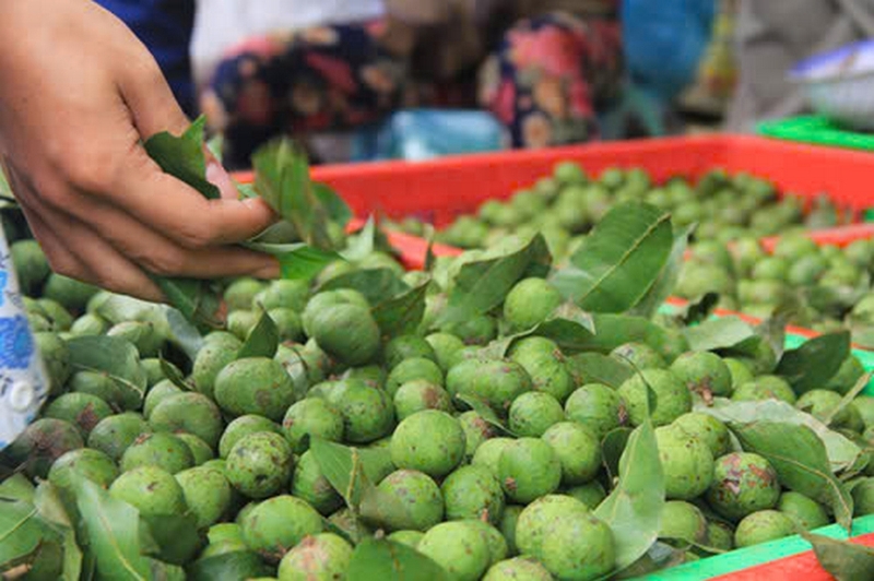 sấu dầm ảnh 1