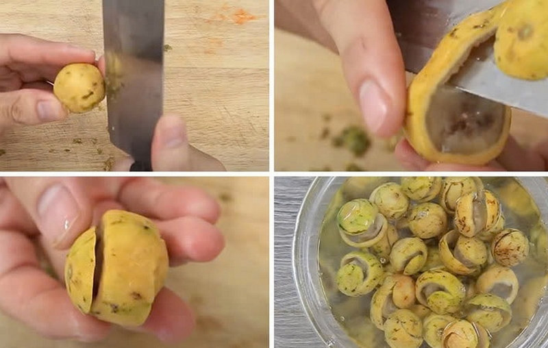 sấu dầm ảnh 2