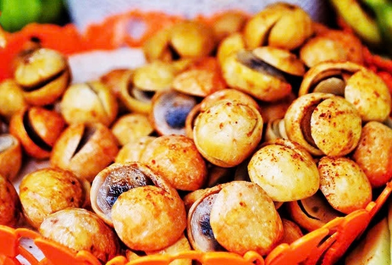 sấu dầm ảnh 4