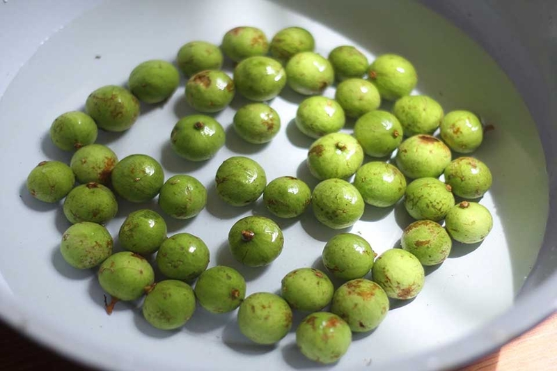 Cách làm sấu ngâm mắm tỏi ớt - 04