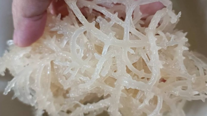 Sea moss gel 3