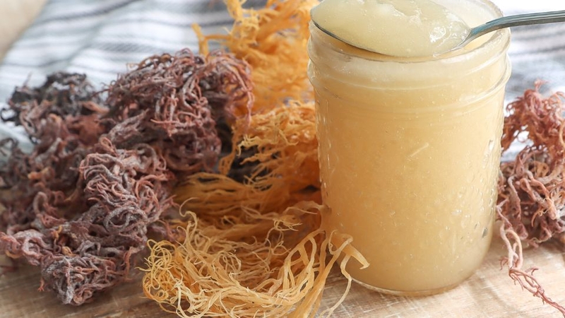 Sea moss gel 6