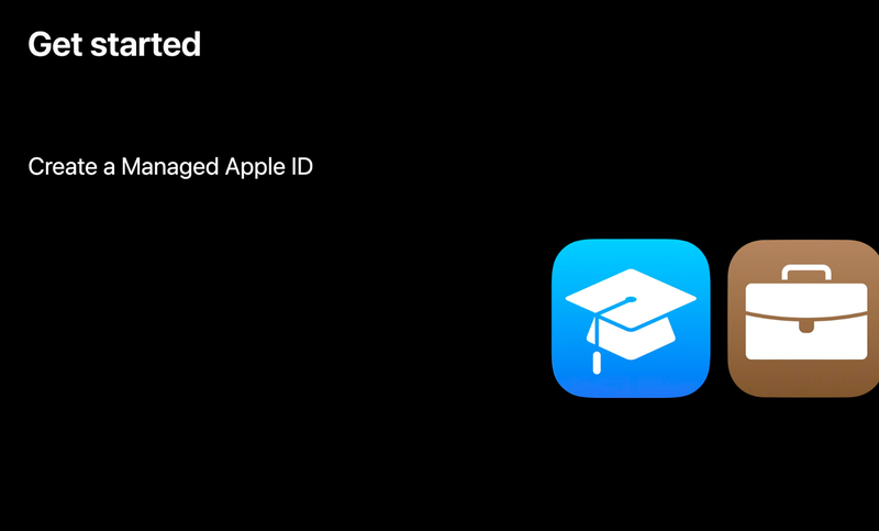 SEED Apple
