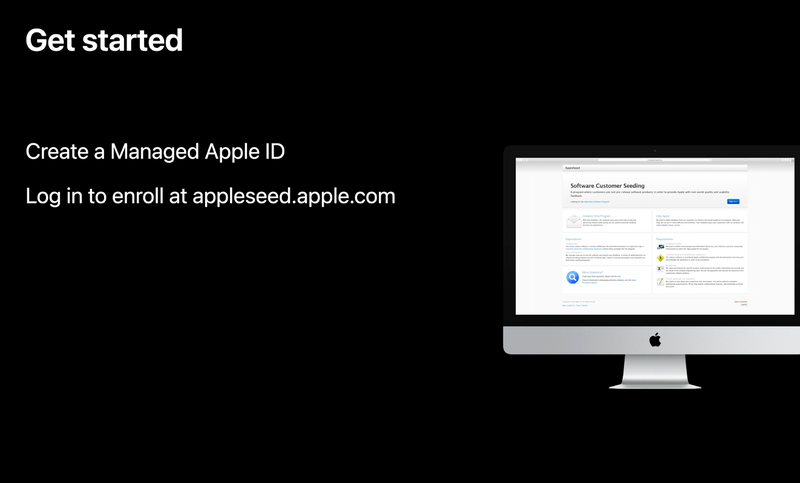 SEED Apple