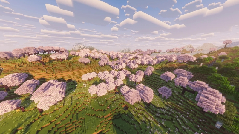 Sakura Season