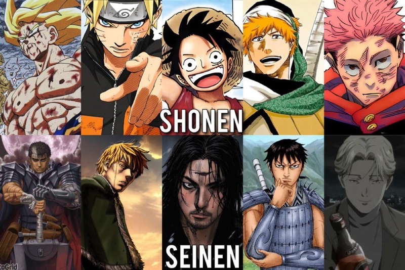 Seinen là gì 5