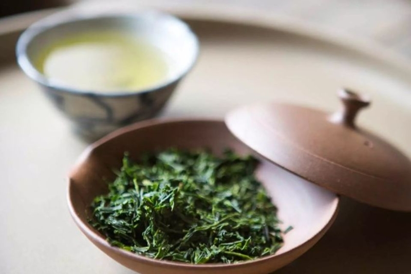 Một số loại trà sencha phổ biến hiện nay