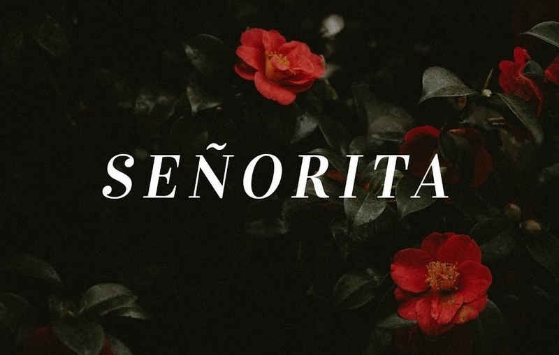 senorita là gì ảnh 4