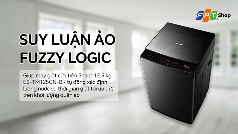Fuzzy Logic trên Máy giặt Sharp 12.5 kg ES-TM125CN-BK