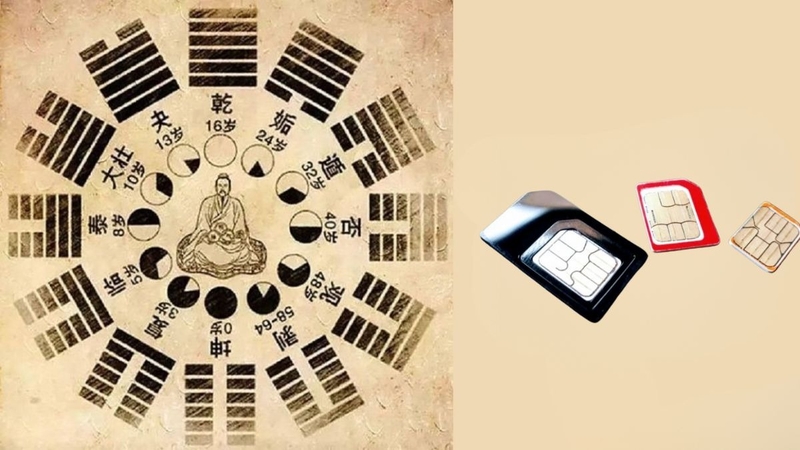 sim kinh dịch (ảnh 6)