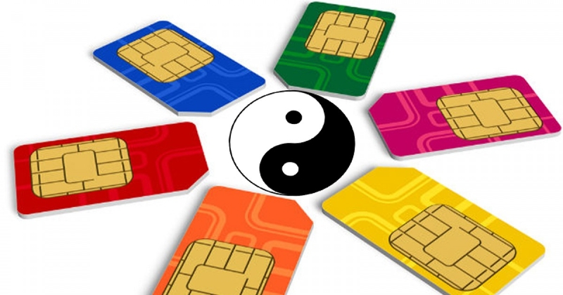 sim kinh dịch (ảnh 1)