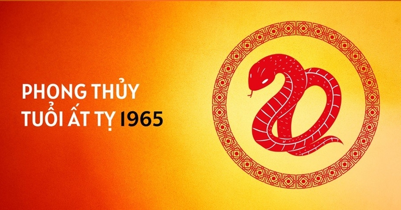 1965 tuổi gì 2