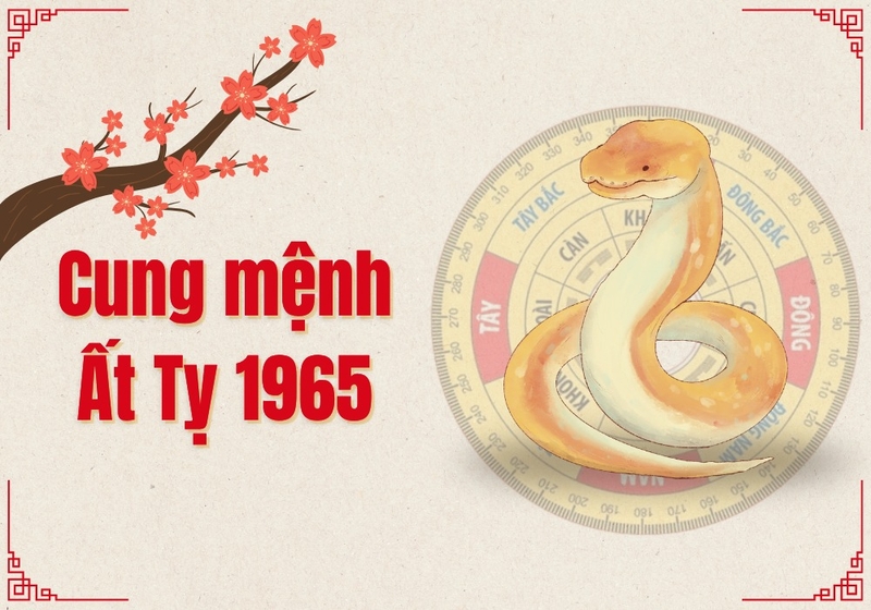1965 tuổi gì 3